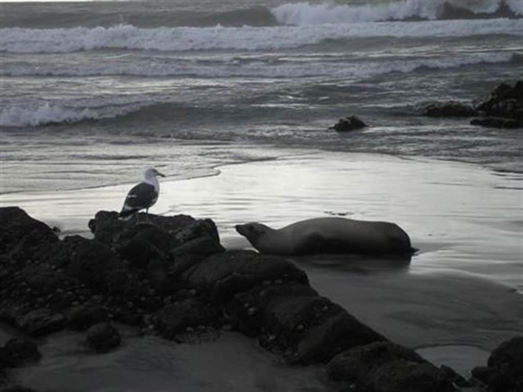 Appartement 'Luxury Oceanfront Penthouse With Pools, Jacuzzis And Spectacular Ocean Views' à Rosarito Extérieur photo
